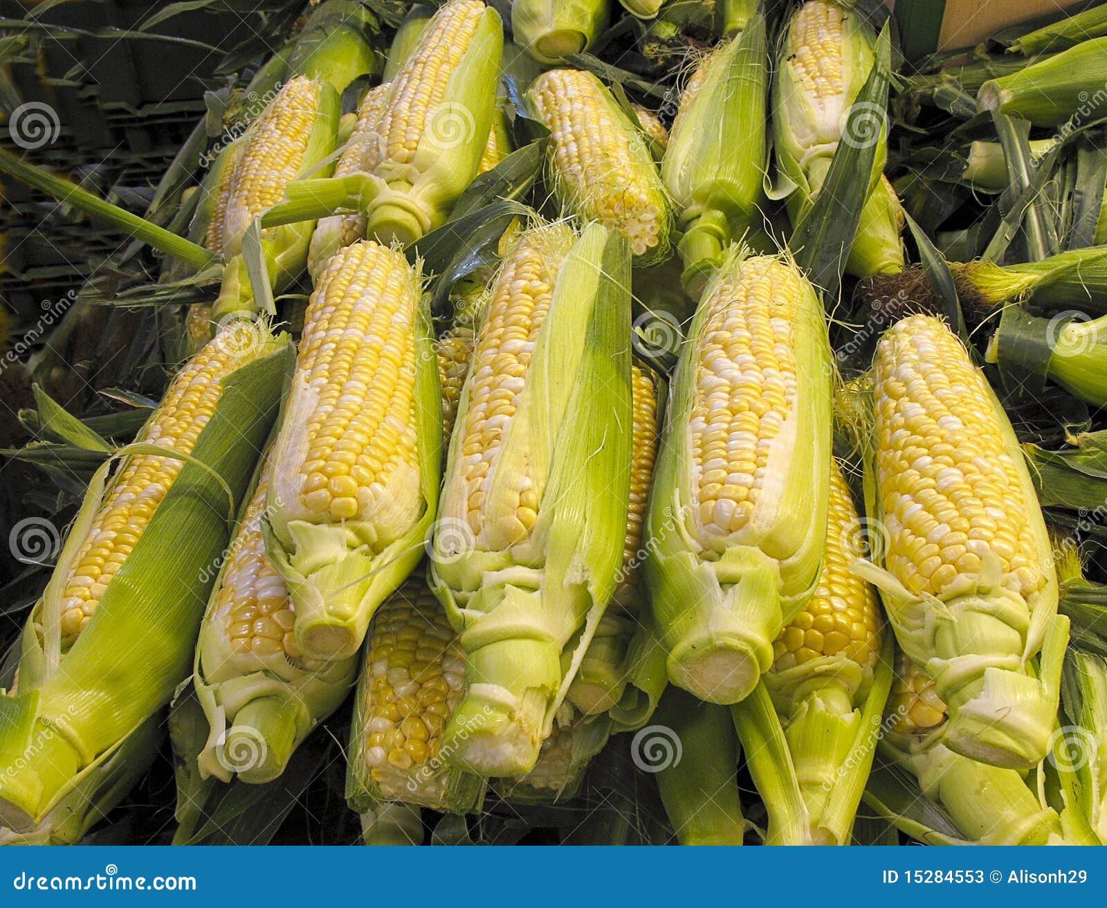 Organic Corn for Sale at Market Stock Image Image of food, kernel