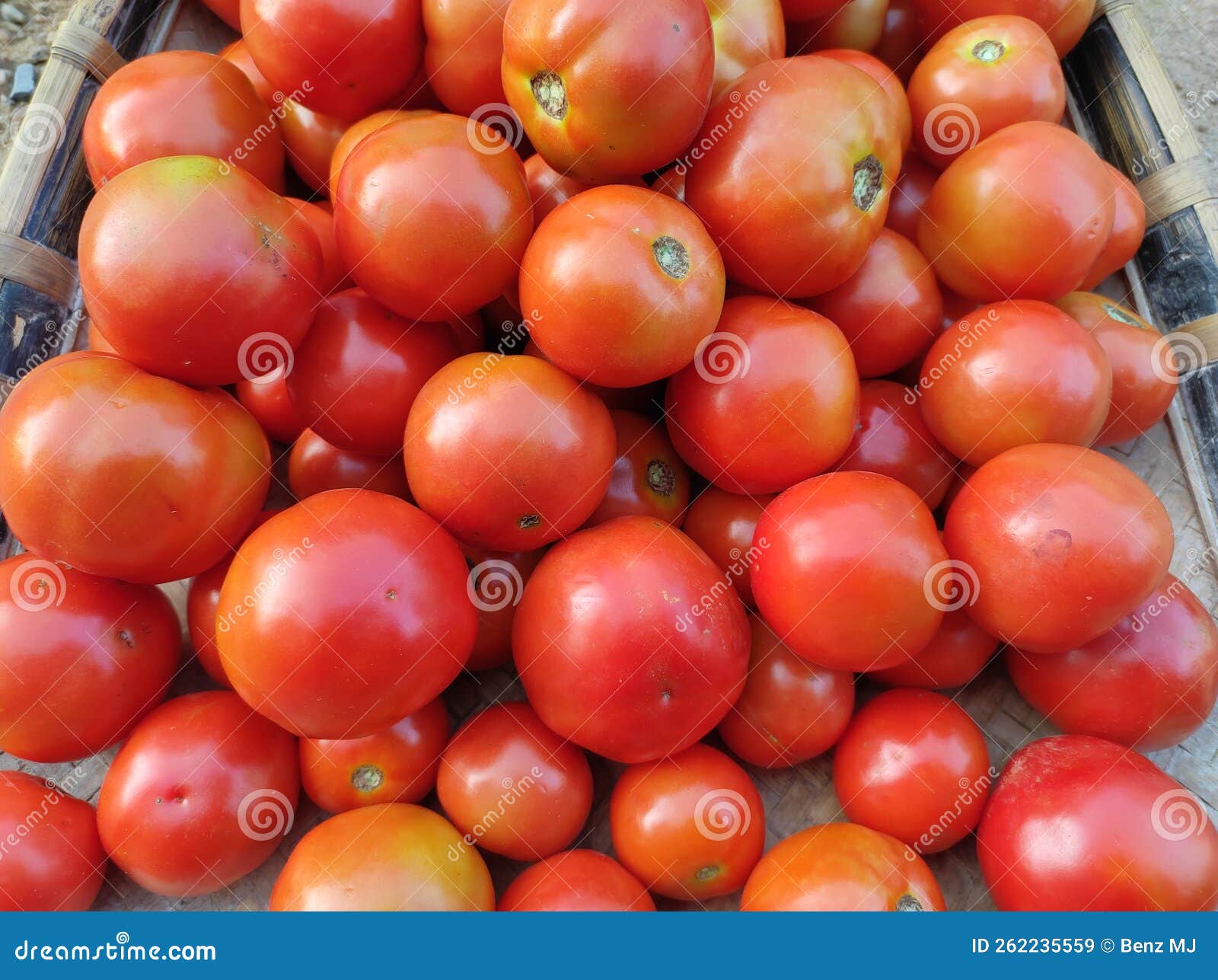 Organic Delicious Tomatoes Kept in Supa Stock Image Image of fruit