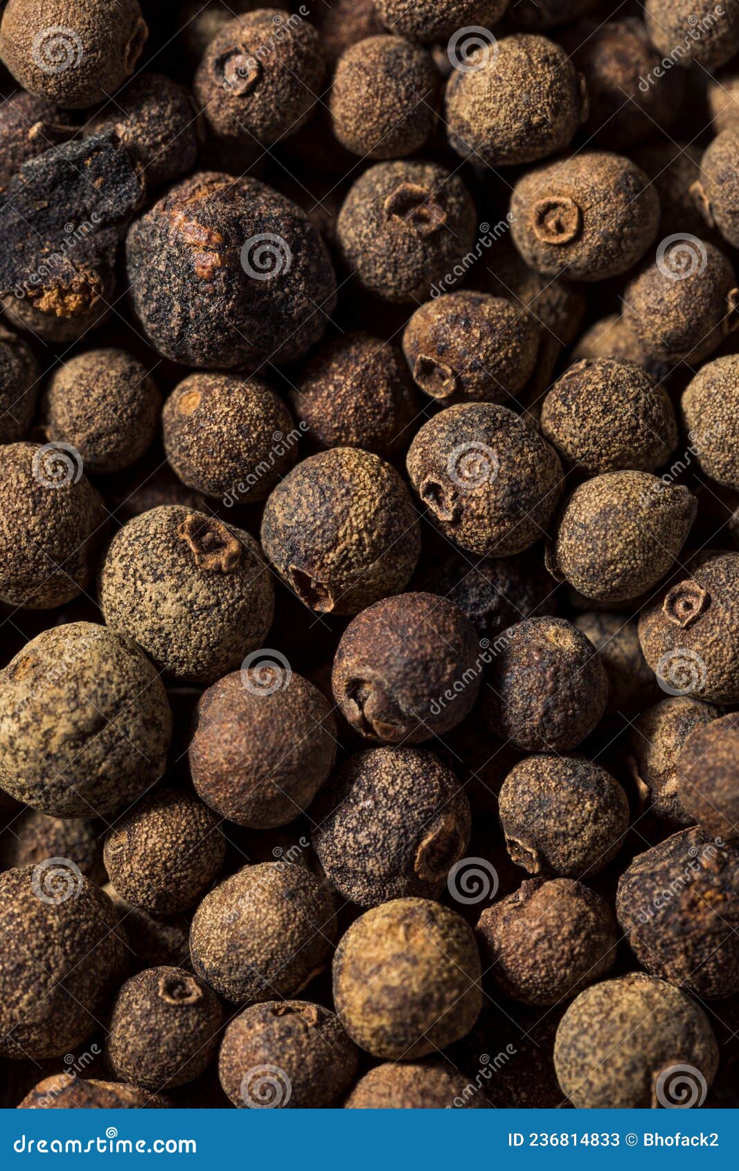 Organic Dry Allspice Spice stock image. Image of flavor 236814833