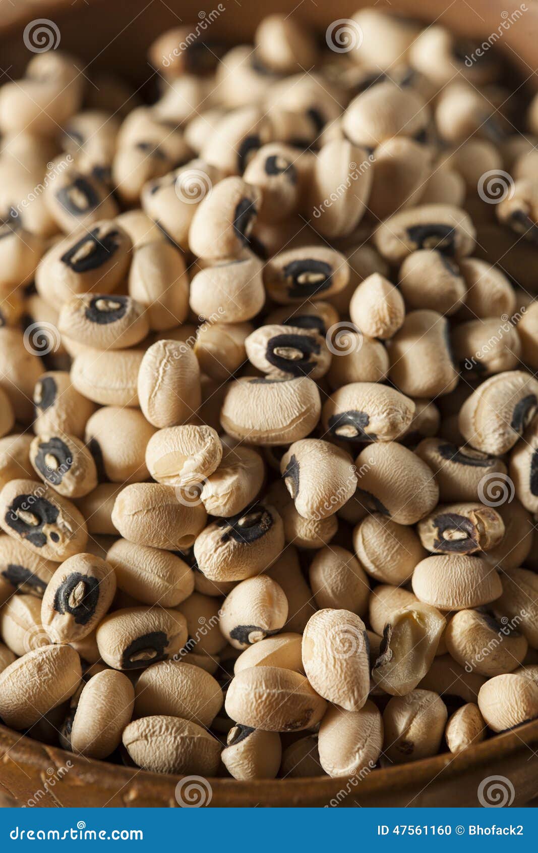 Organic Dry Black Eyed Peas Stock Photo Image of beans, black 47561160