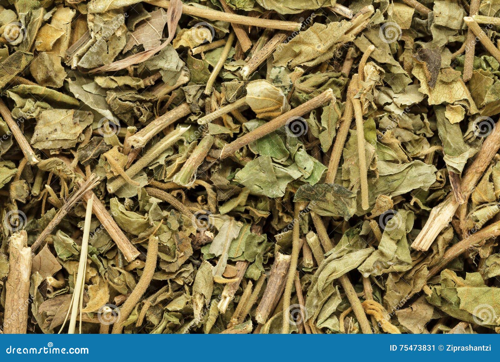 organic dry kalmegh or chiretta (andrographis paniculata) leaves.