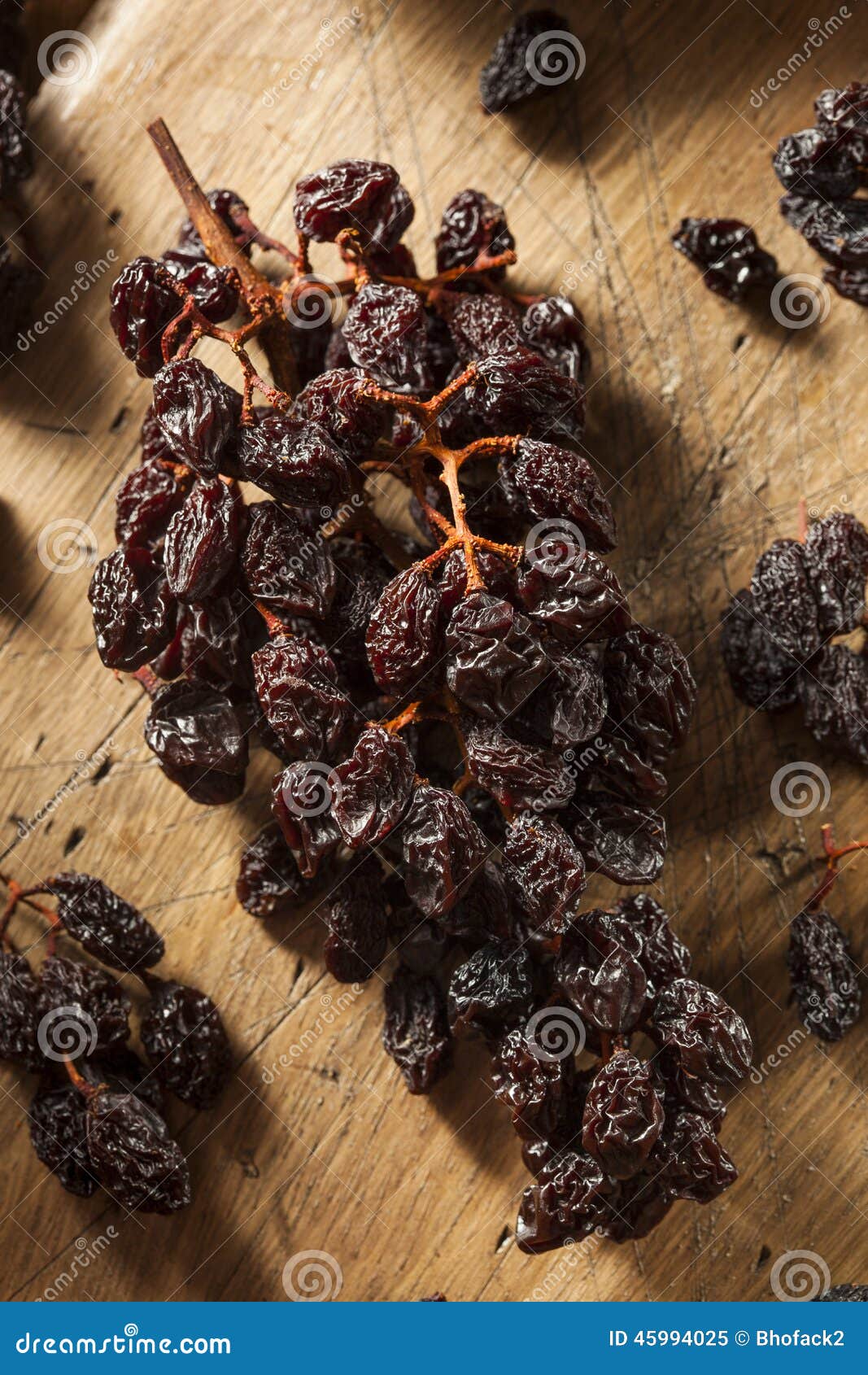 Organic Dry Raisins on the Vine Stock Image Image of nutritious