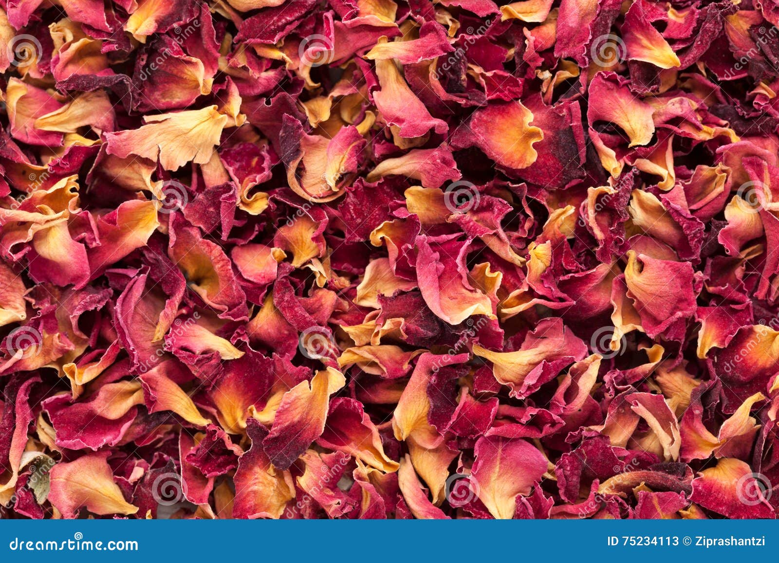 276 Rosa Damascena Petals Stock Photos - Free & Royalty-Free Stock Photos  from Dreamstime