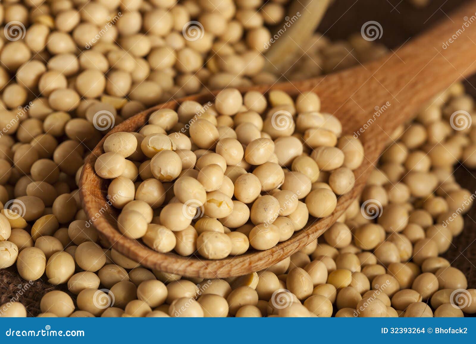Organic Dry Soy Beans stock photo. Image of crop, fresh 32393264
