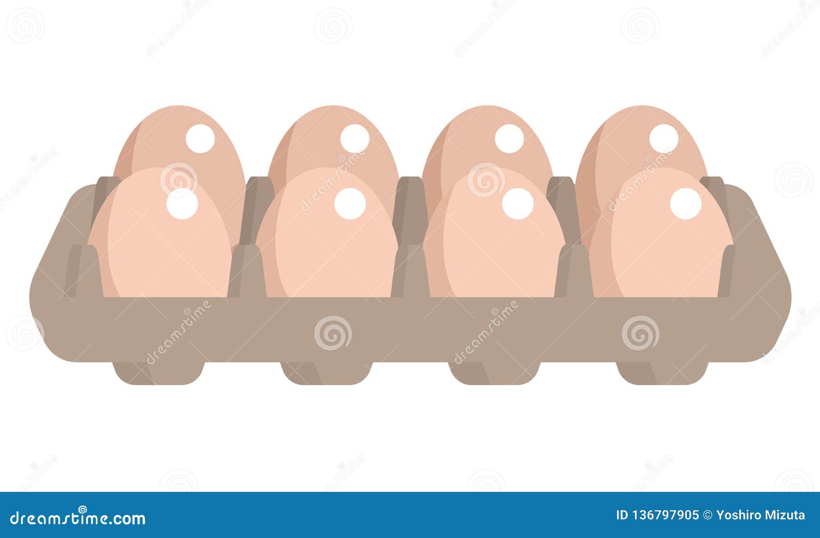 Organic Egg Pack Isolated on White Stock Vector Illustration of