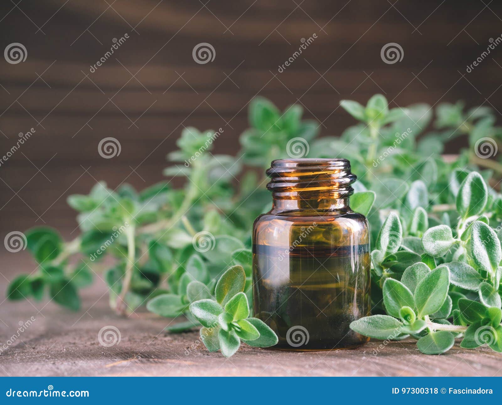 Organic Essential Thyme Oil With Green Leaves Stock Photo - Image of