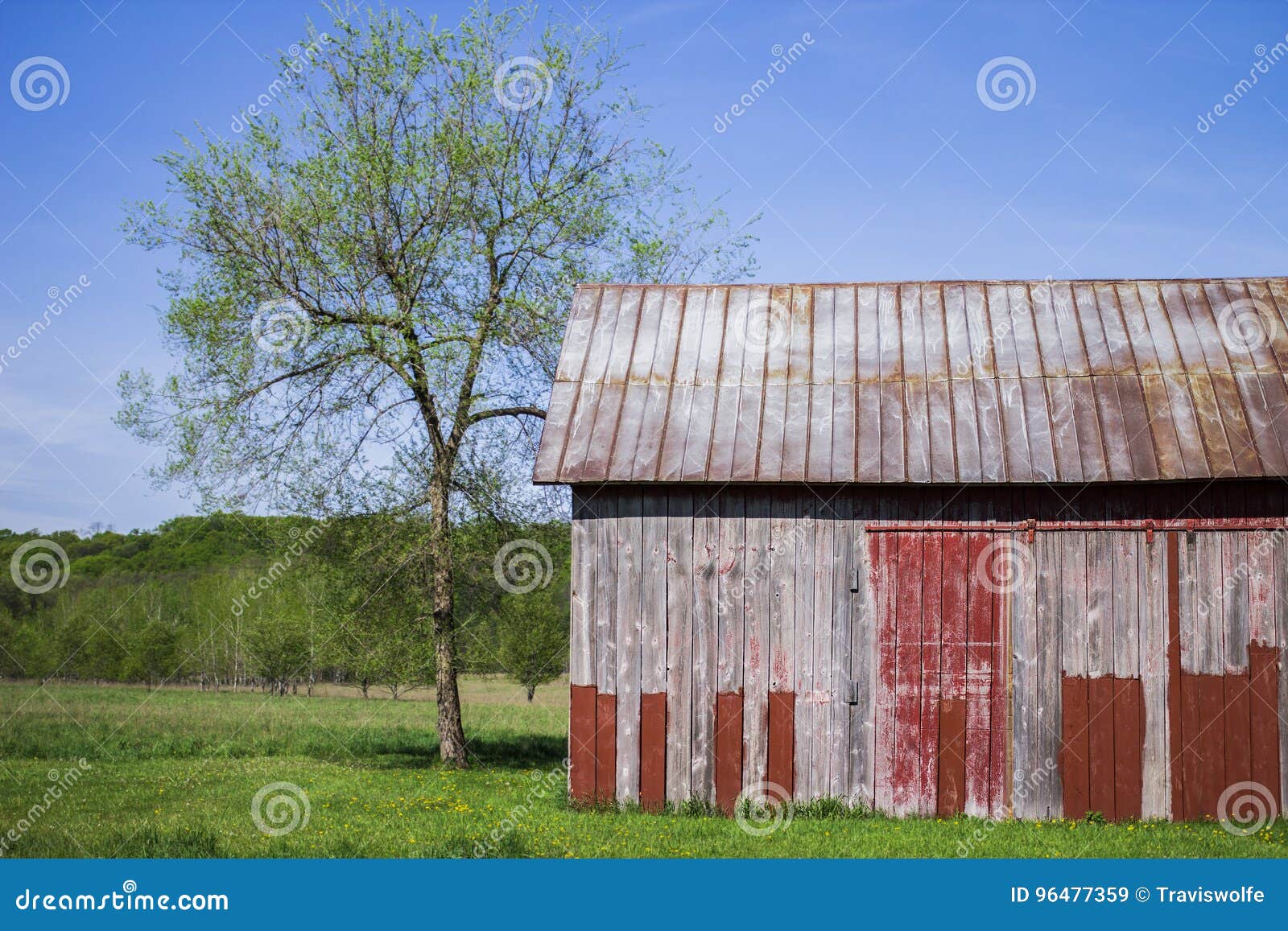 Organic Farming Methods for Fresh Produce with Rustic Old Barn I Stock