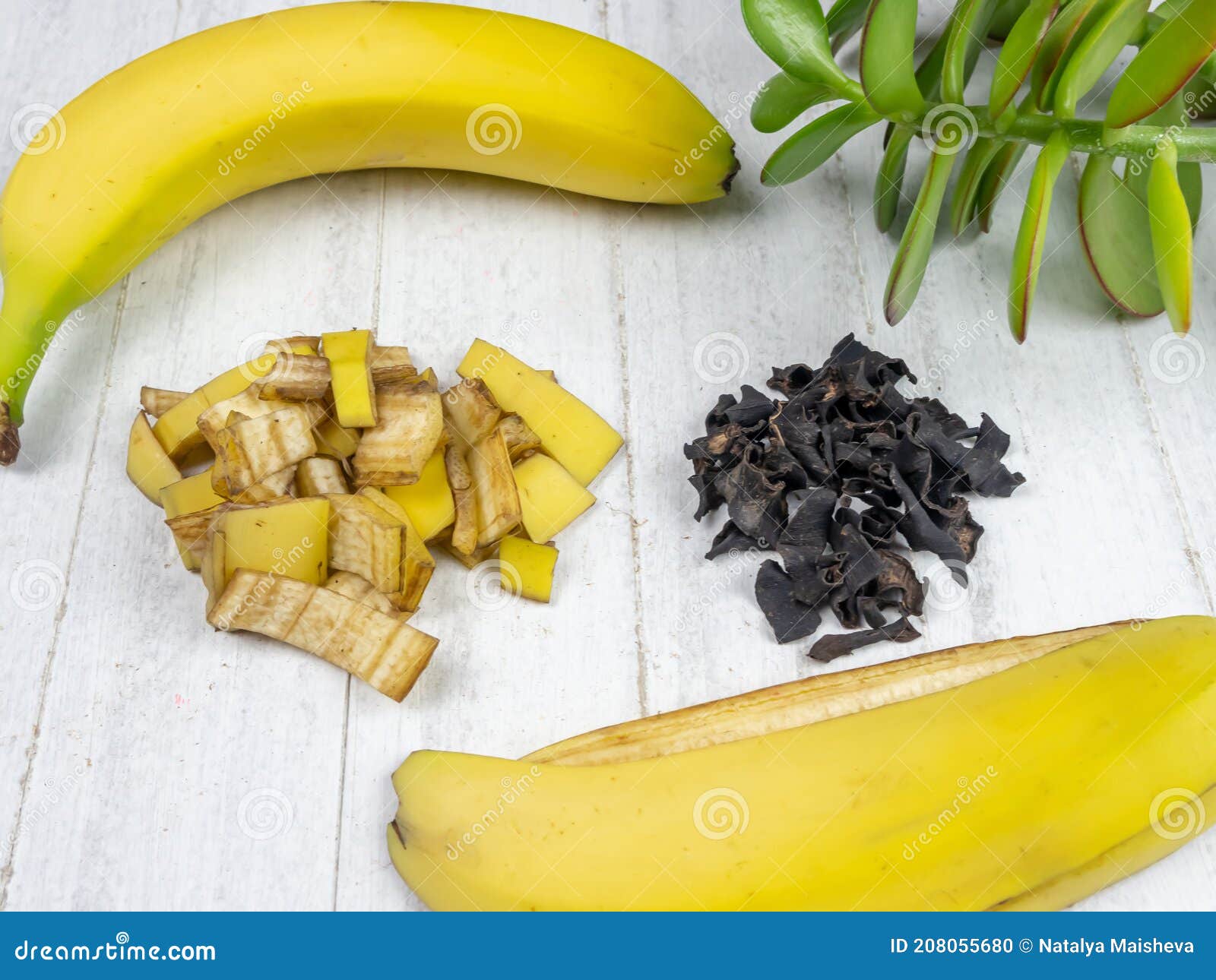 Organic Fertilizer Made from Banana Peel. Stock Photo Image of
