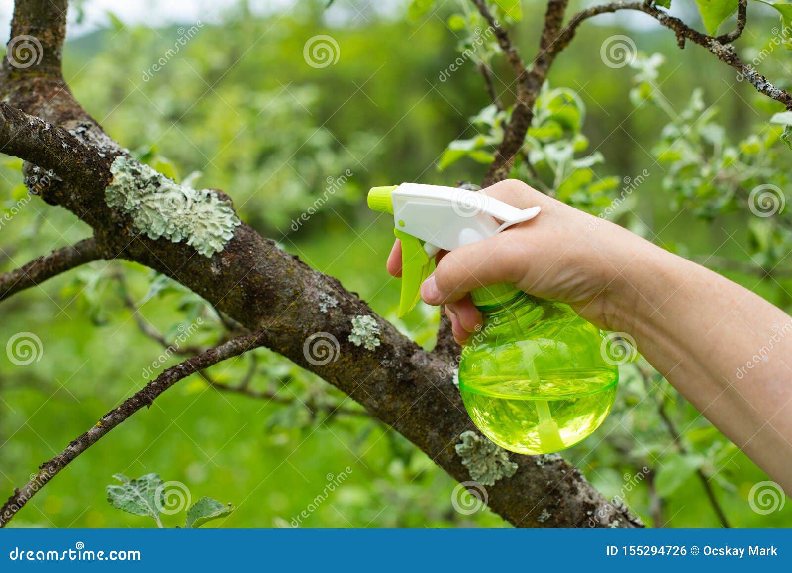 download bioforge fertilizer download bioforge fertilizer