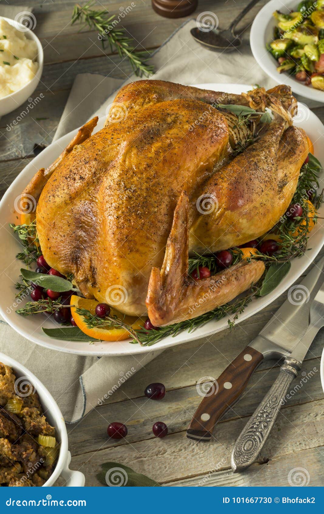 Organic Free Range Homemade Thanksgiving Turkey Stock Photo - Image of ...