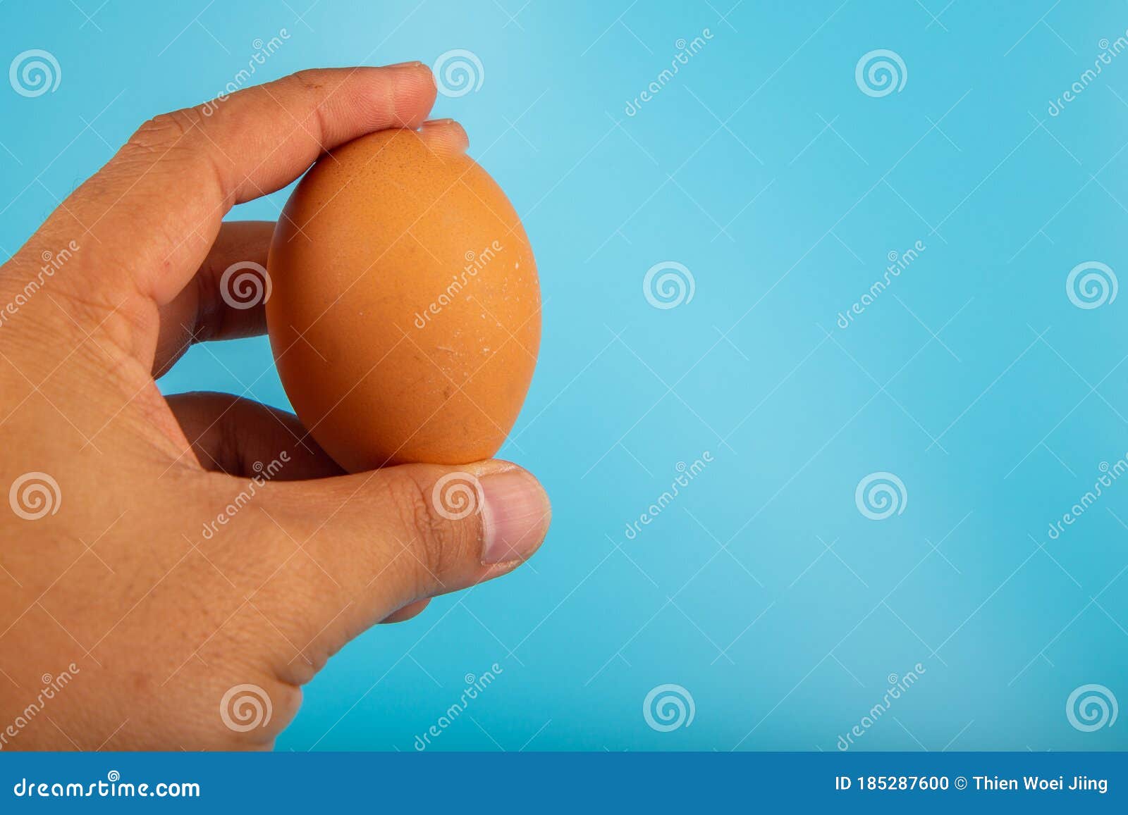 Organic Fresh Chicken Egg in Carton Box Stock Photo Image of account