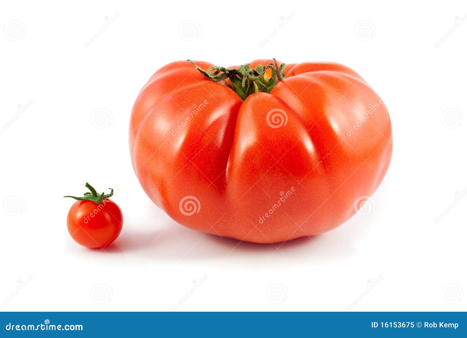 Organic Giant Beef and Cherry Tomatoes Isolated Stock Image Image of