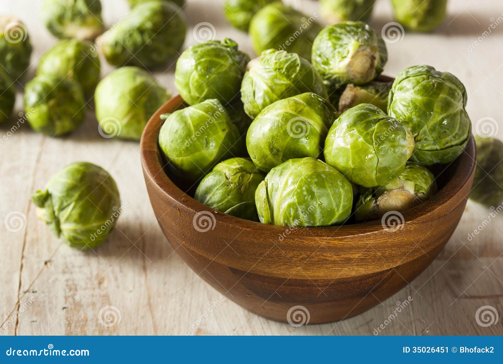 Organic Green Brussel Sprouts Stock Image Image of ingredient