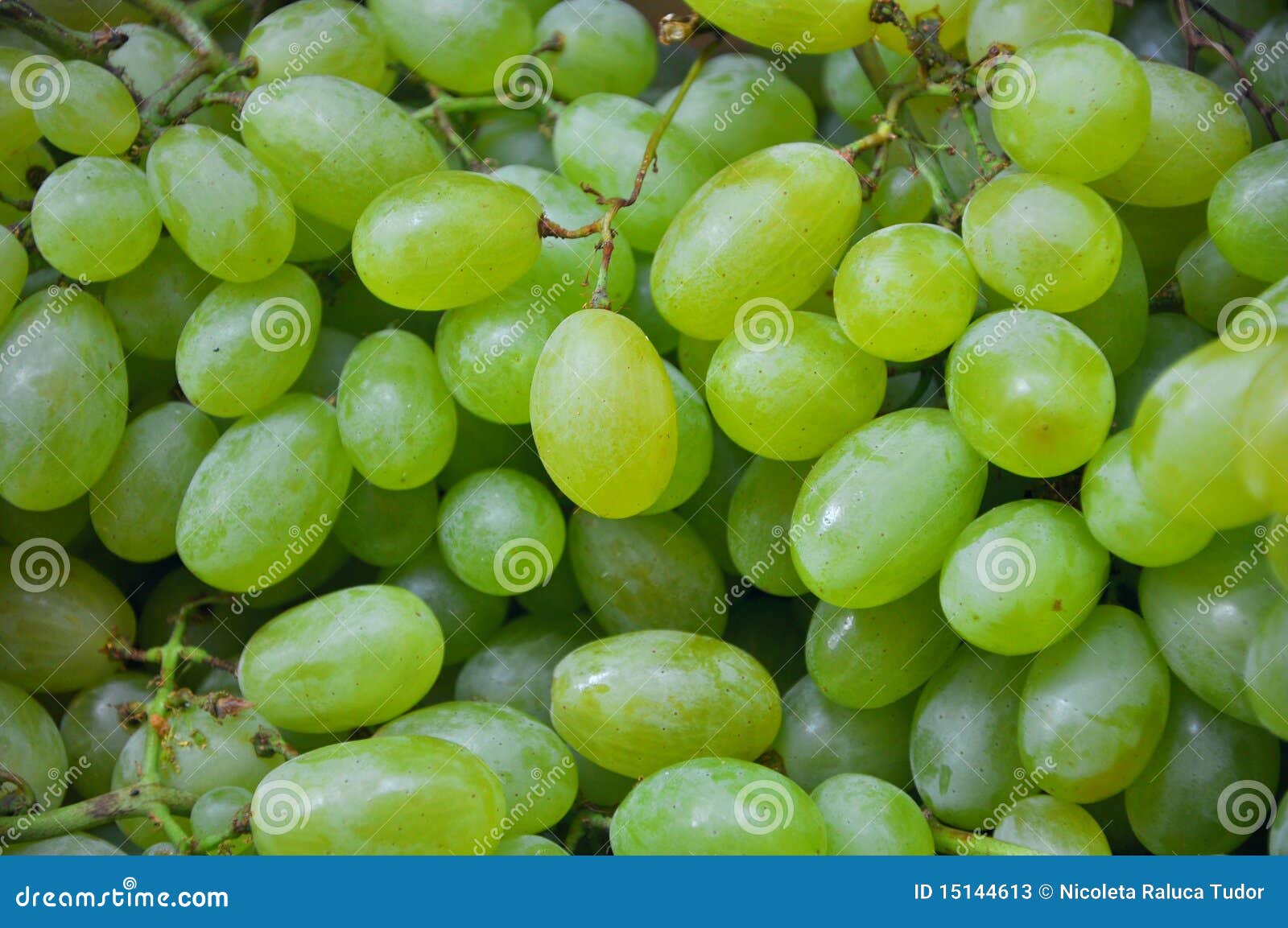 https://thumbs.dreamstime.com/z/organic-green-grapes-market-15144613.jpg