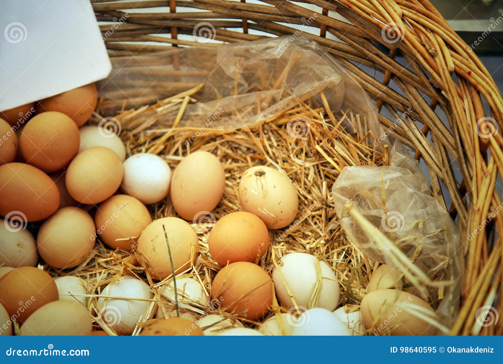 Organic Healthy Protein Chicken Eggs Stock Image Image of poultry