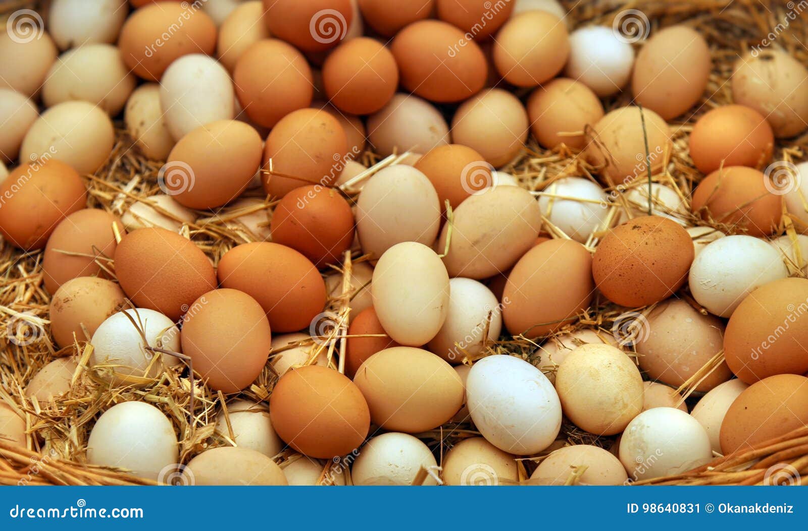 Organic Healthy Protein Chicken Eggs Stock Image Image of eggshell