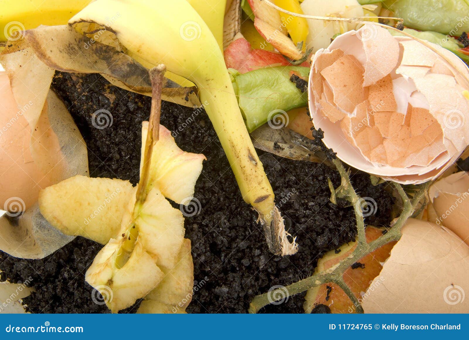 Organic Household Waste Ready To Compost Stock Image Image of apple