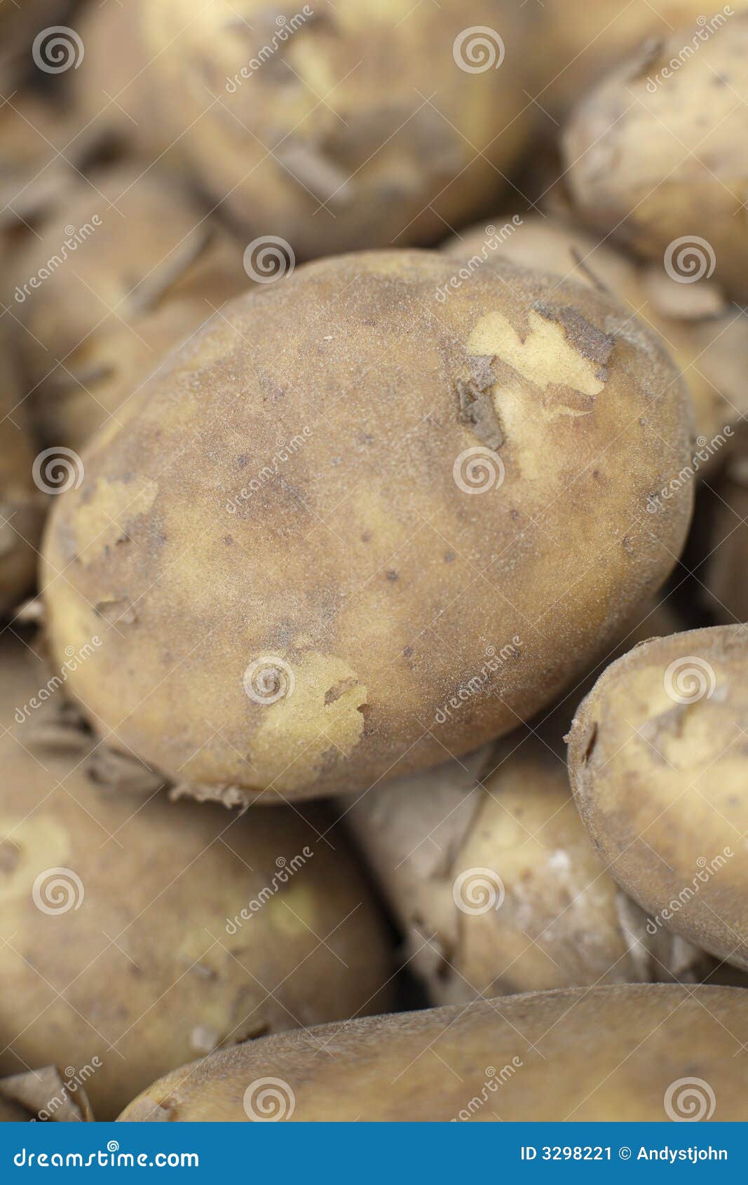 166 Jersey Potatoes Stock Photos Free & RoyaltyFree Stock Photos