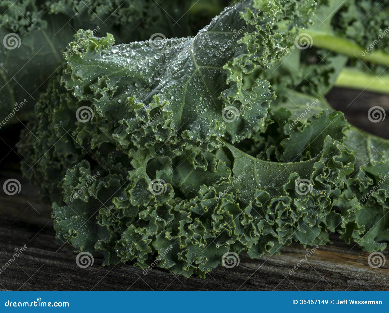 Organic Kale stock image. Image of produce, freshness 35467149