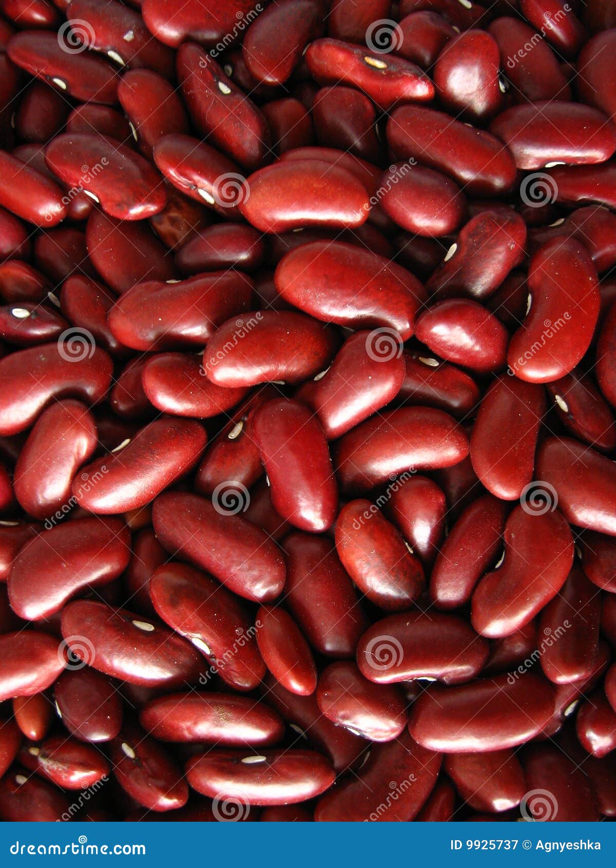 Organic kidney beans stock image. Image of dietary, seed 9925737