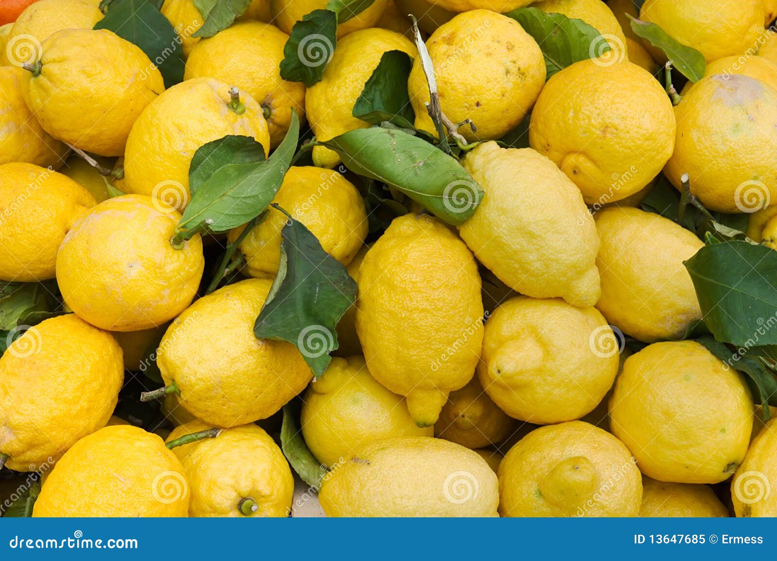 Organic lemons stock image. Image of natural, healthy 13647685
