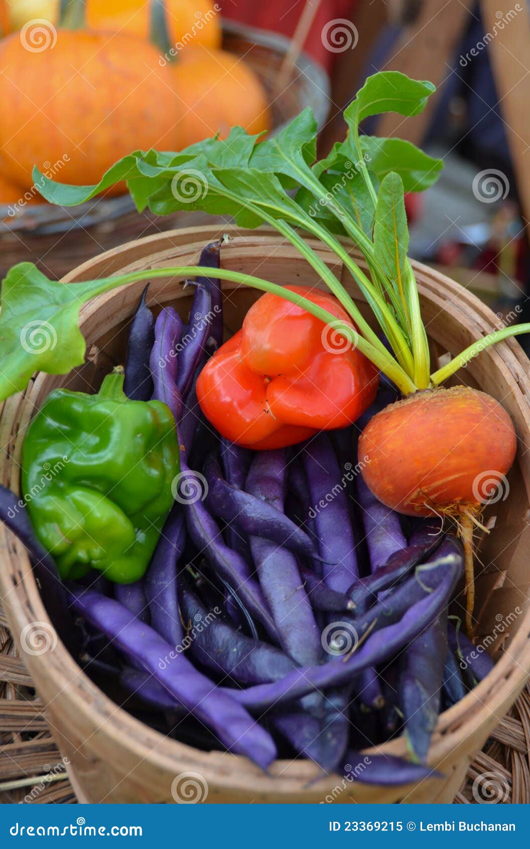 Organic mixed vegetables stock image. Image of farmers 23369215