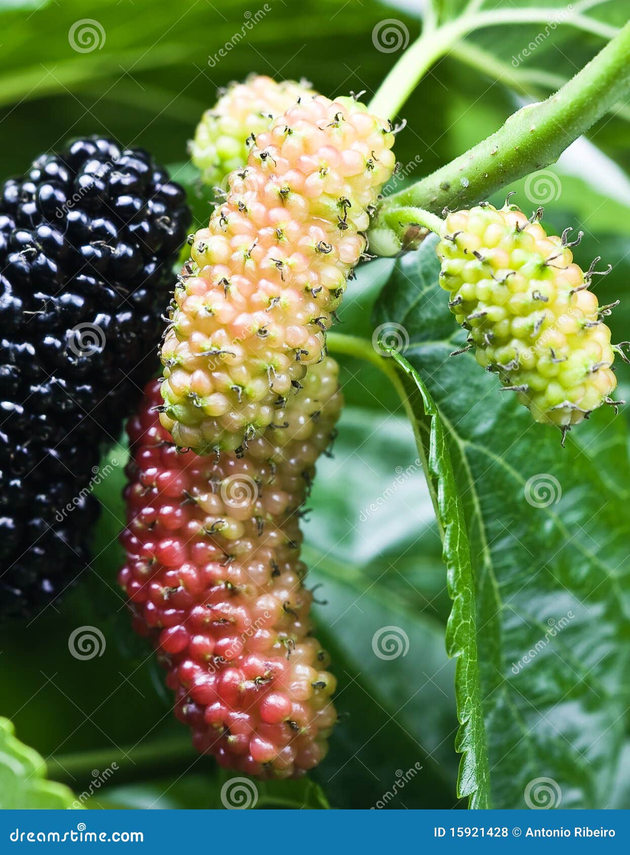 ideas for decorating an outdoor bench for christmas