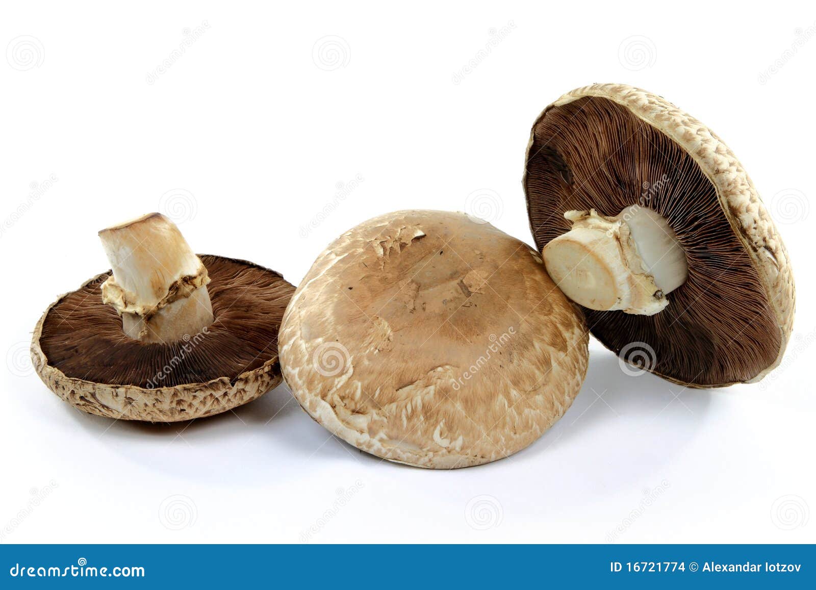 Organic Mushrooms Portobello Top and Bottom. Stock Photo Image of