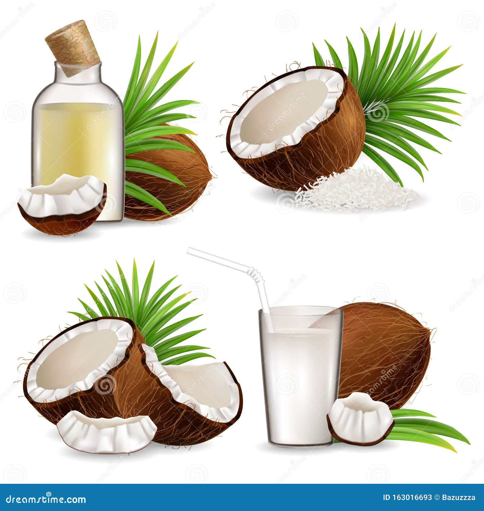 Organic Natural Coconut Set, Vector Isolated Illustration Stock Vector ...