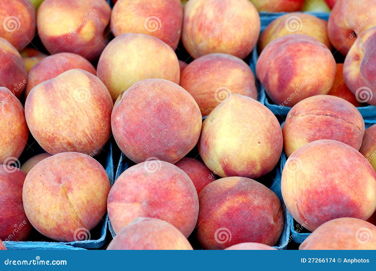 Organic nectarines stock photo. Image of diet, sweet 27266174