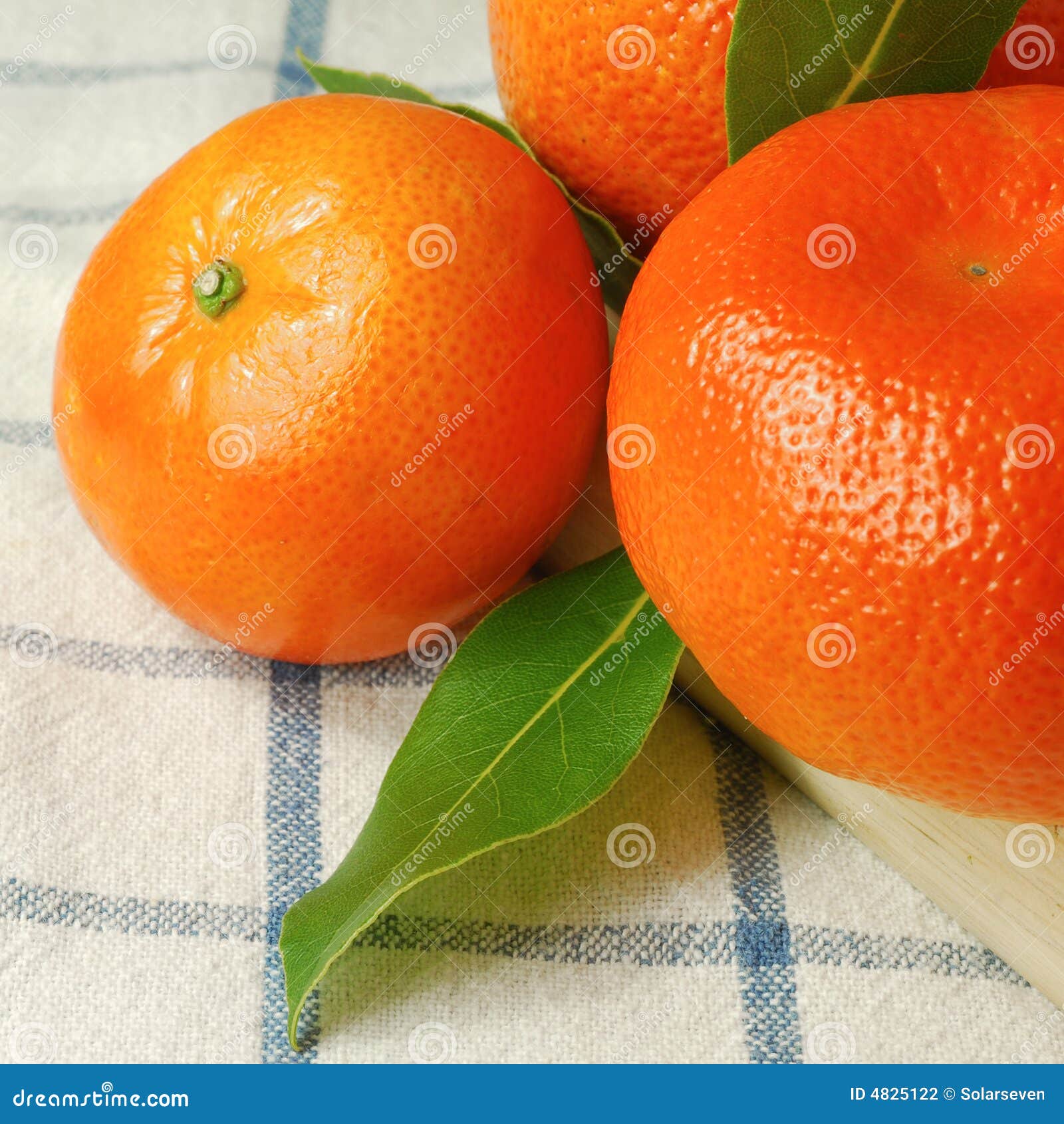 Organic Oranges Stock Photo Image Of Fresh Diet Orange 4825122