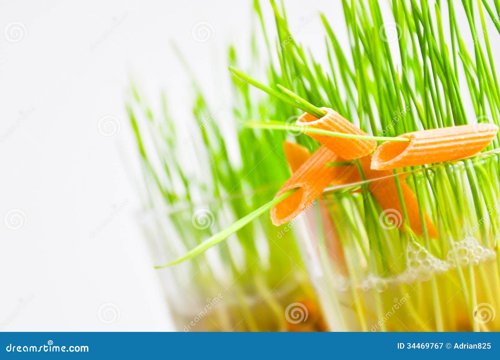 Organic Pastas Obtained from Whole Grain Stock Image Image of grain