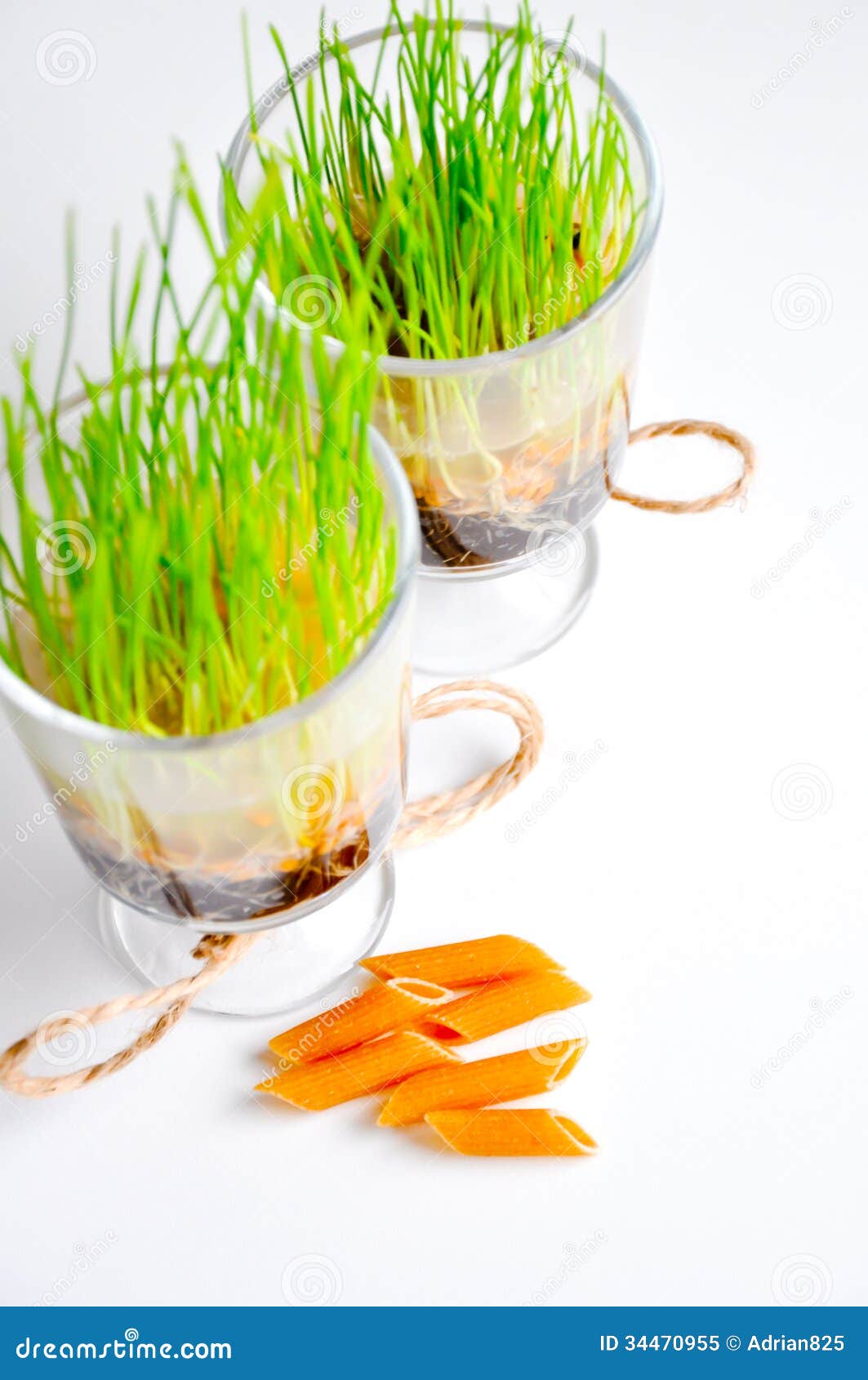 Organic Pastas Obtained from Whole Grain Stock Image Image of pasta