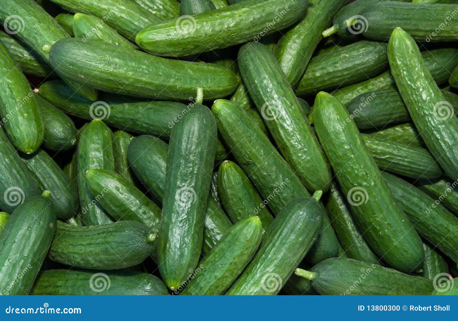 organic persian cucumbers