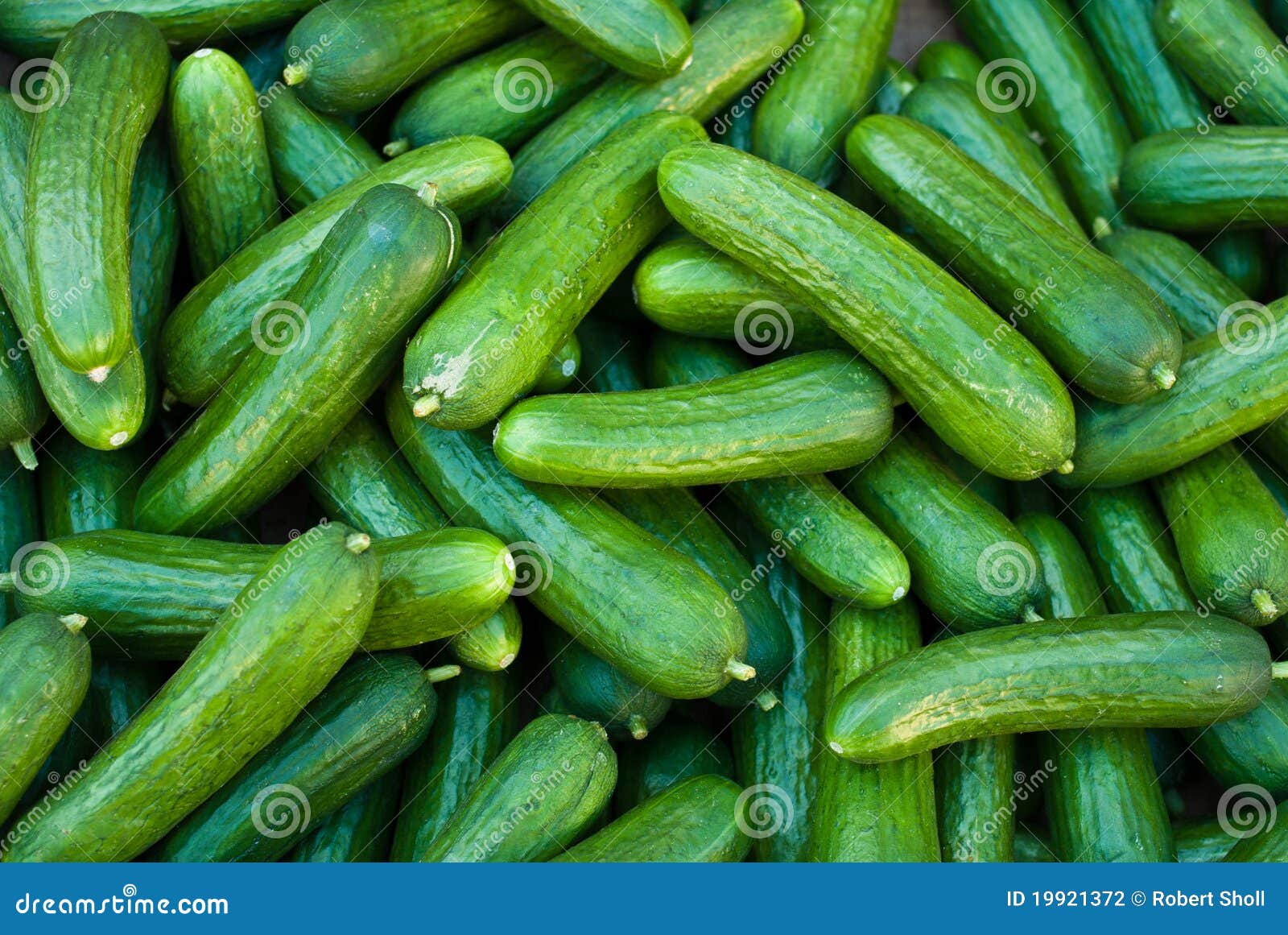 organic pickle cucumbers