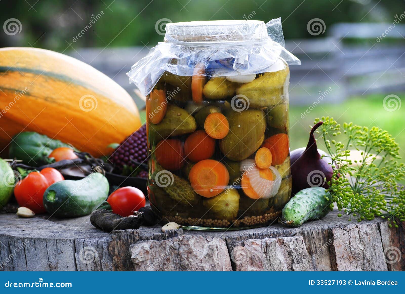 Organic pickles stock image. Image of food, cucumber 33527193