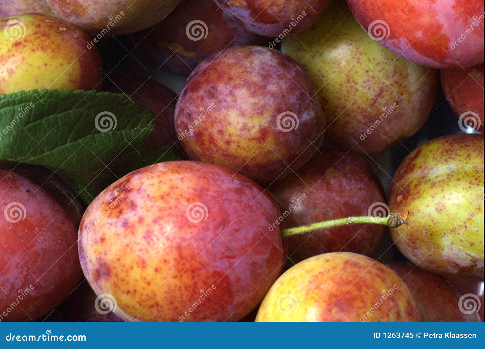 Organic plums stock image. Image of taste, juice, organic 1263745