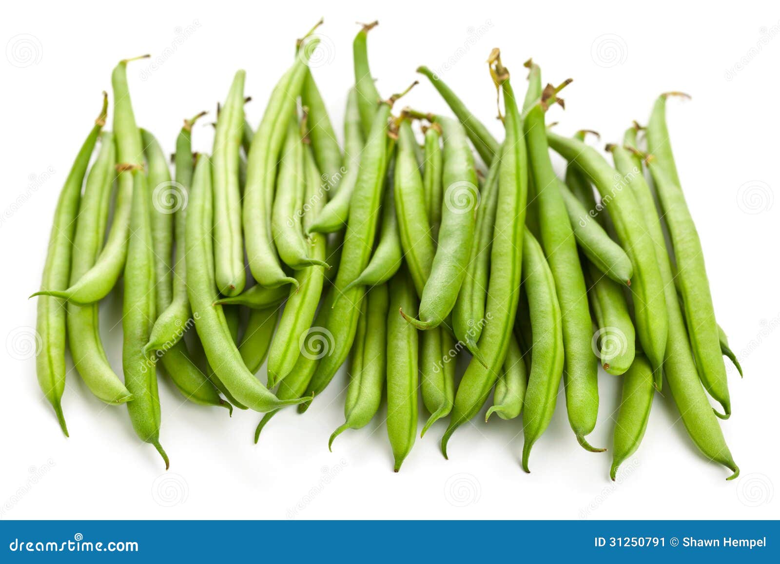Organic pole beans stock image. Image of healthy, organic 31250791