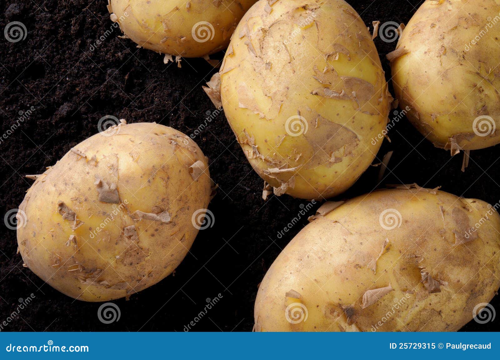 organic potatoes