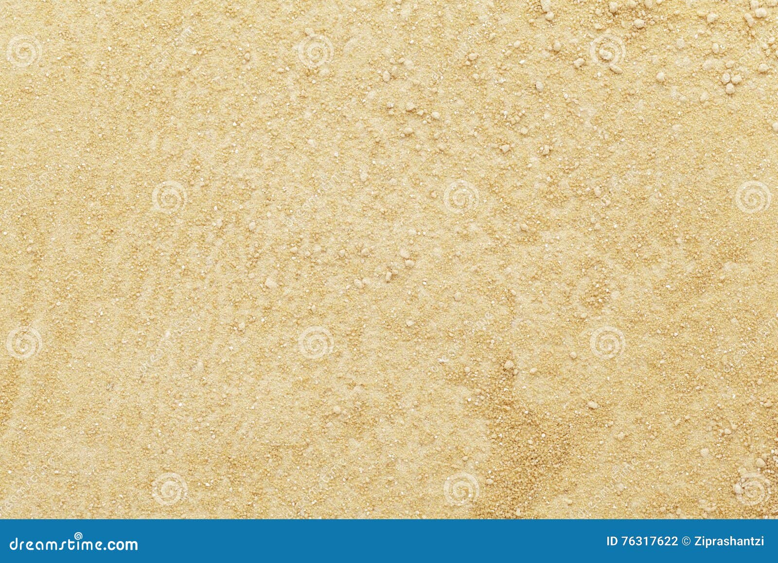 organic powder of indian frankincense (boswellia serrata).