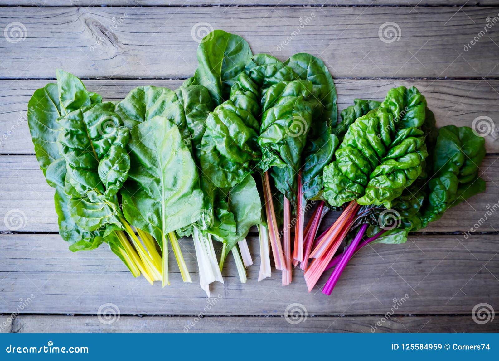 organic rainbow chard: spray-free leafy greens in linear arrange