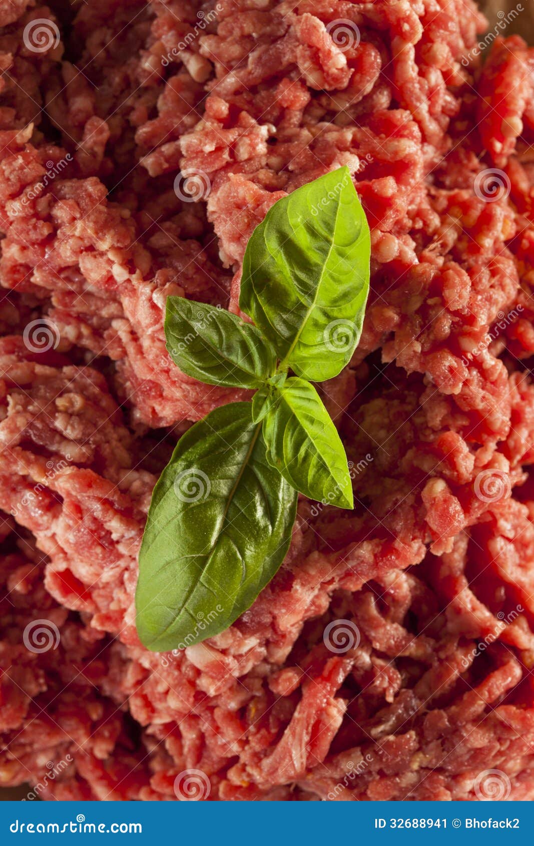 Organic Raw Grass Fed Ground Beef Stock Image Image of gourmet, pink