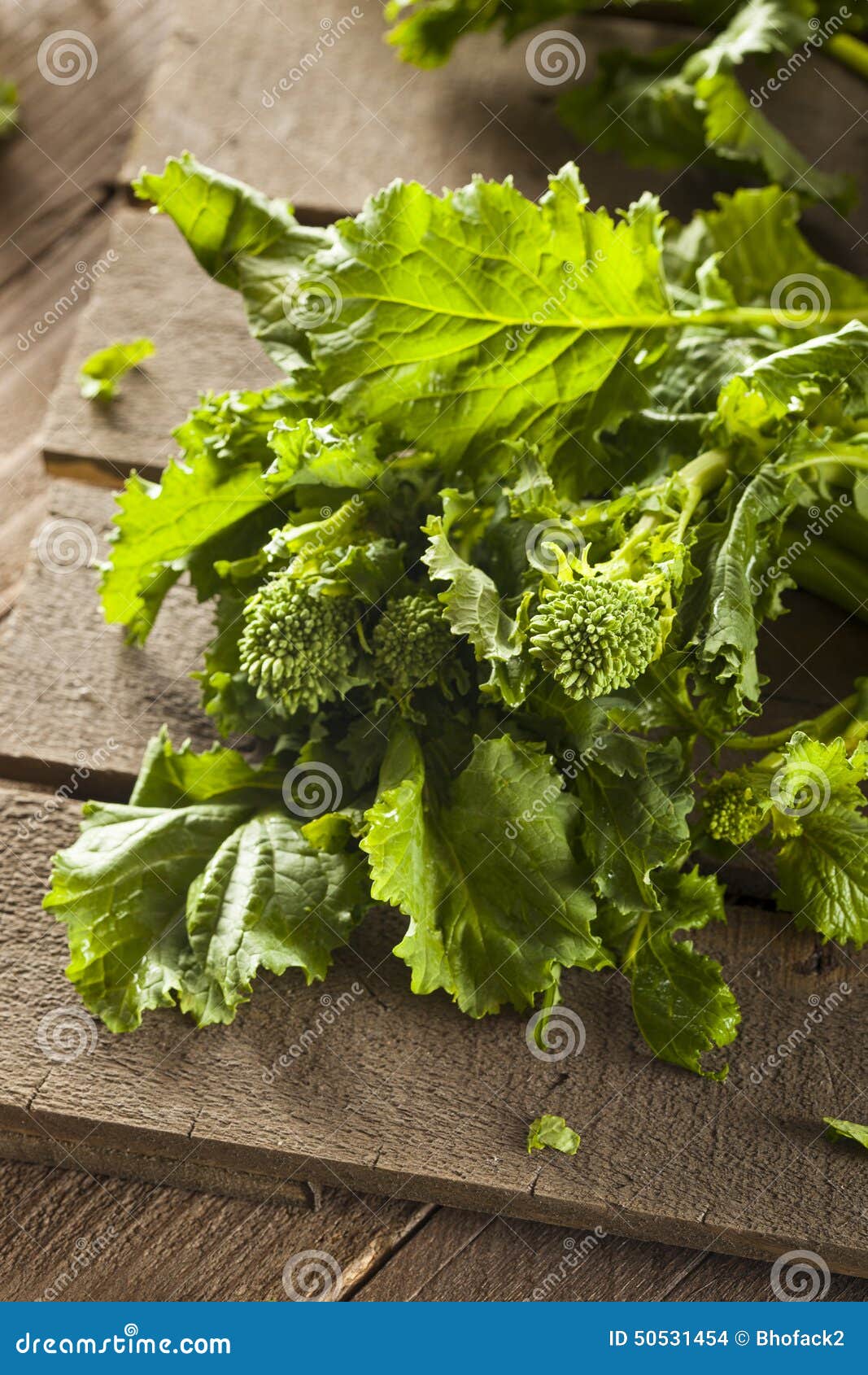 organic raw green broccoli rabe rapini