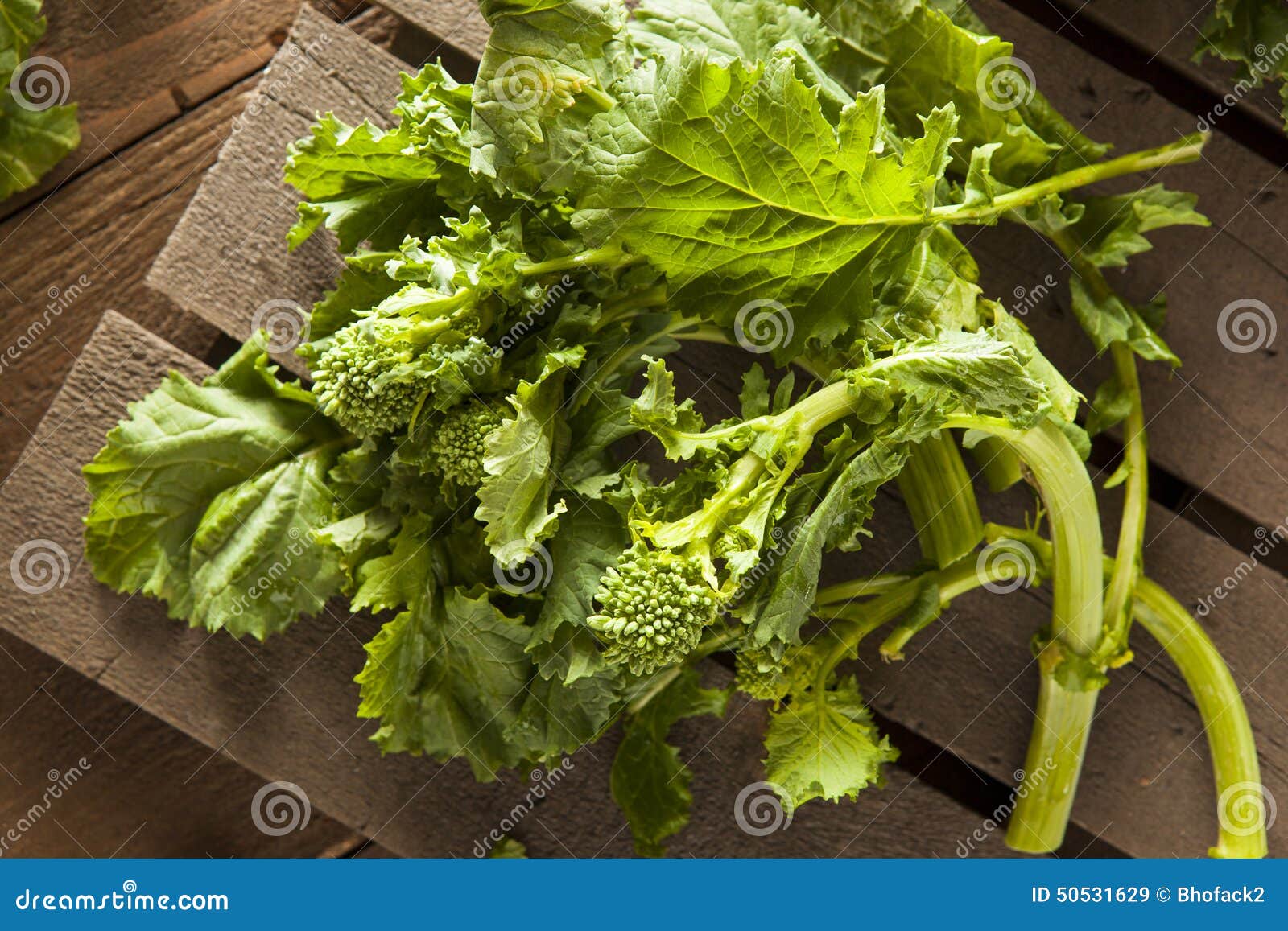 organic raw green broccoli rabe rapini