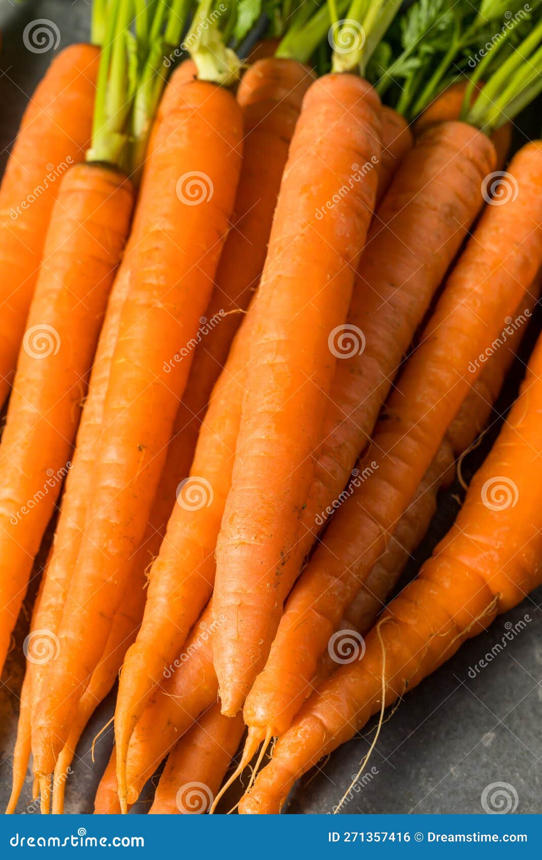 Organic Raw Orange Carrots stock photo. Image of ripe 271357416