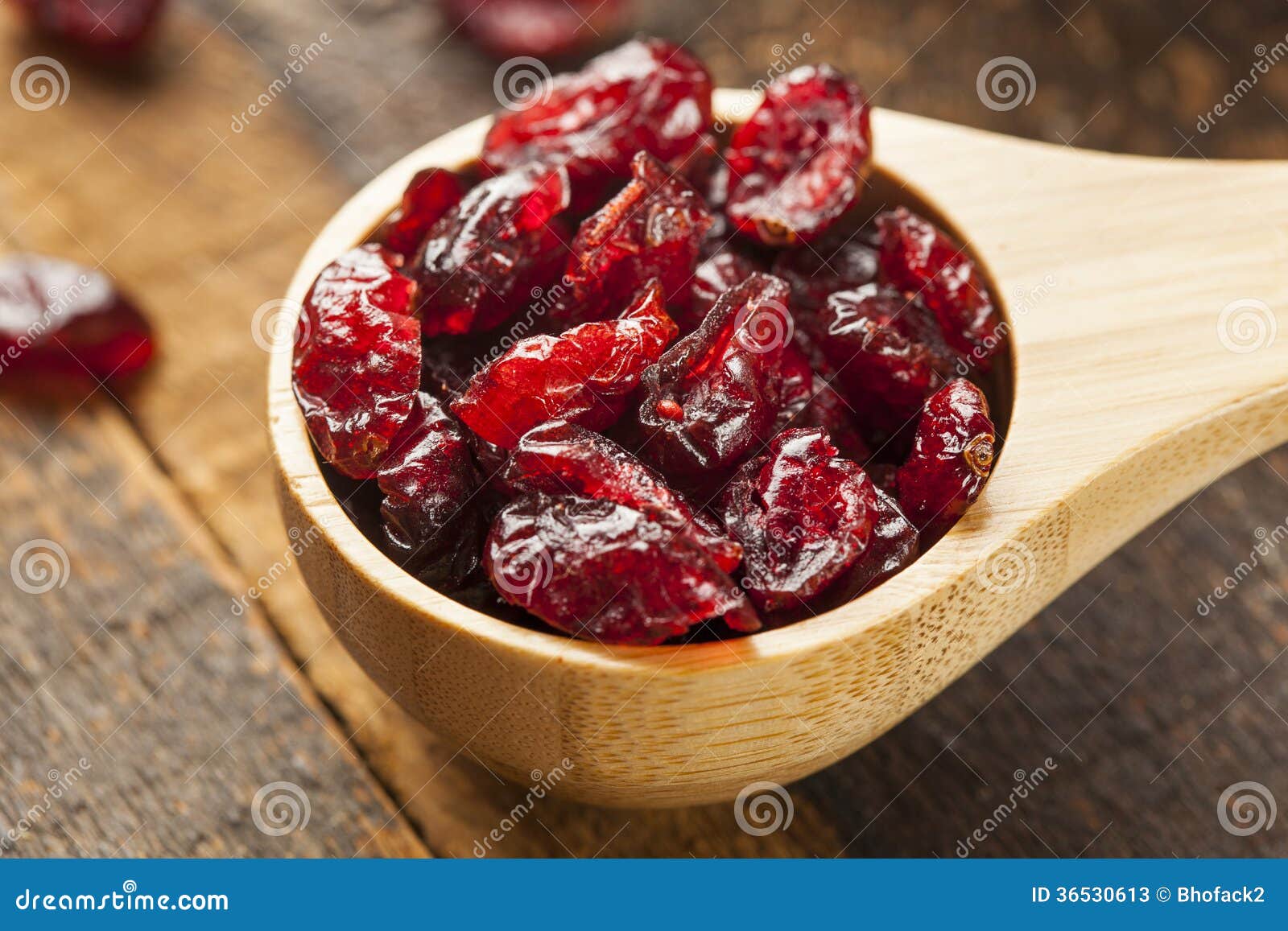 Organic Red Dried Cranberries Stock Image Image of natural, food
