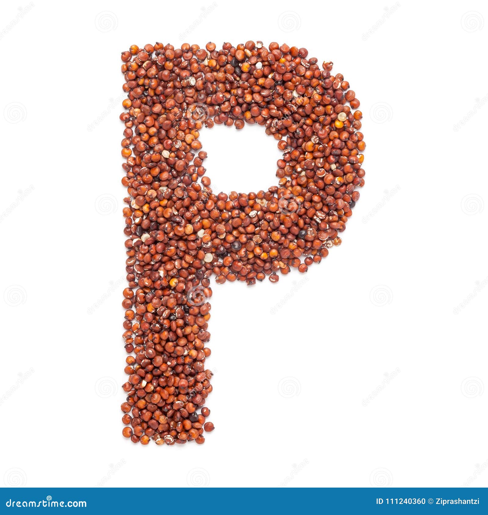 Organic Red Quinoa Seed Chenopodium Quinoa in P Shape for Protein ...