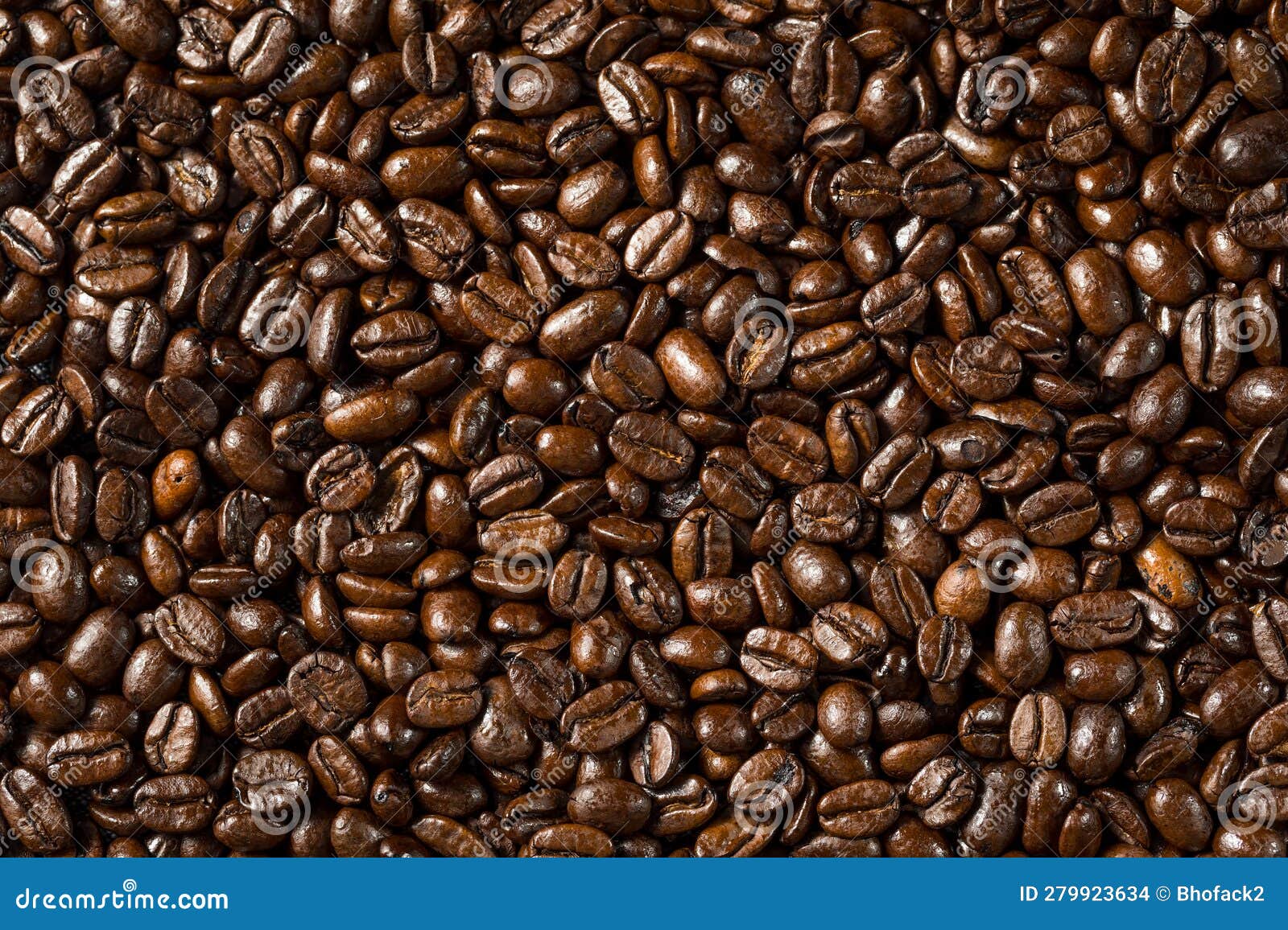 Organic Roasted Espresso Coffee Beans Stock Photo Image of aroma