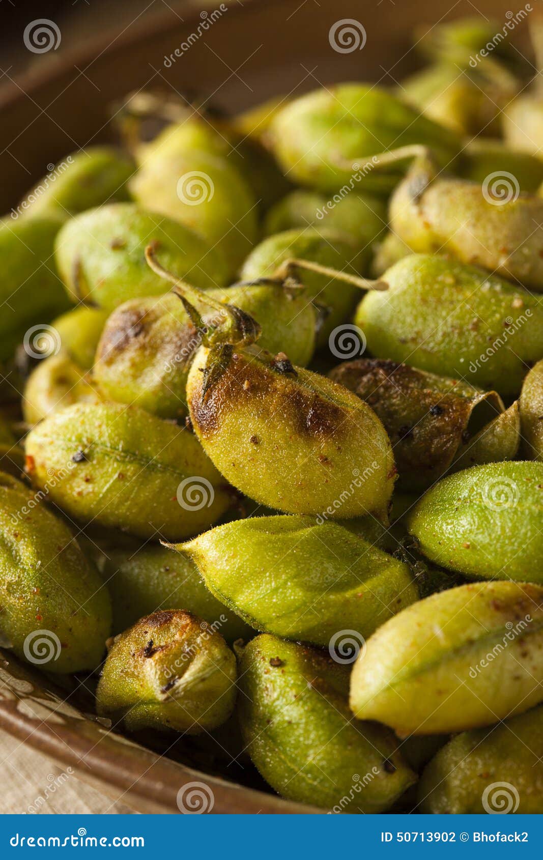 Organic Roasted Fresh Garbanzo Beans Stock Photo Image of beans