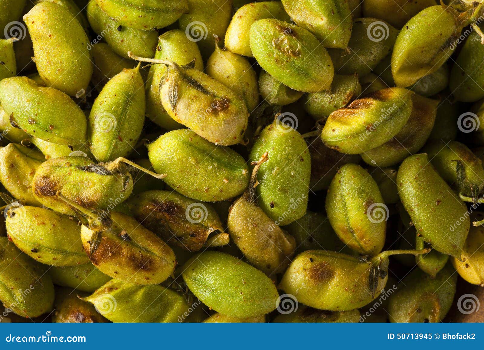 Organic Roasted Fresh Garbanzo Beans Stock Image Image of seed, green